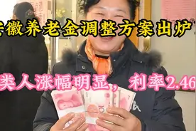 安徽养老金调整方案出炉！两类人涨幅明显，利率2.46%视频封面