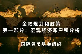 4.1：简介 国际货币基金组织视频封面
