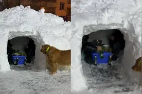 黑龙江大雪后男子挖雪屋吃火锅 网友：男人至死是少年视频封面