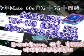 全新麒麟：risc-v架构 (开源架构)，支持5G 预计今年Mate 60e首发