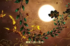 属鼠人的一生中哪个年龄最倒霉，何时会遭遇大劫？视频封面