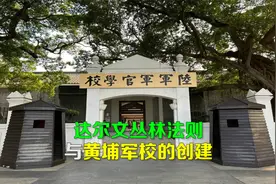 001达尔文丛林法则与黄埔军校的创建视频封面