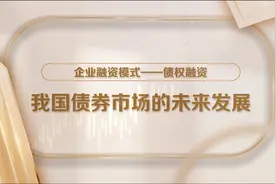 企业融资模式-债权融资：我国债券市场的未来发展视频封面