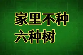 民间习俗，家里不能种的六种树。视频封面