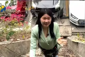 中国AI发展迅速 爬山有外挂 专家:需解决"卡脖子"难关 续领先地位视频封面