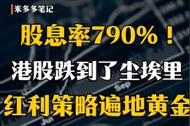 股息率790%，港股跌到了尘埃里，红利策略遍地黄金视频封面