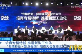 “专精特新·制造强国”城市大会在湖北武汉举行视频封面