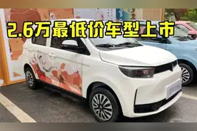 五菱地位不保？新车仅售2.6万，质保12万公里，车主：还买啥mini视频封面