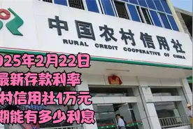 2025年2月22日最新存款利率：农村信用社1万元定期能有多少利息？视频封面