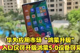 华为应用市场“鸿蒙升级”入口仅可升级鸿蒙5.0设备可见视频封面