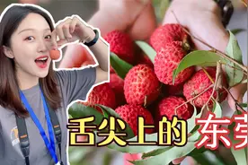 云游风物之旅｜全国哪里荔枝最好吃？高端荔枝出东莞，一斤380元视频封面