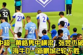 中超-黄皓隽中横梁 , 张昱杰破门 , 海牛0-1新鹏城2轮不胜视频封面
