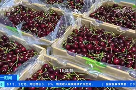 智利出口车厘子92%销往中国视频封面