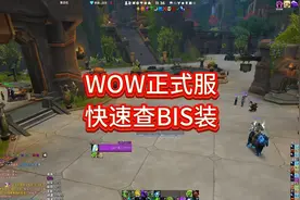 正式服地心之地快速查询毕业装备插件小技巧视频封面
