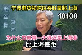 宁波港货物吨位吞吐量超上海，为什么世界第一大港还是上海港视频封面