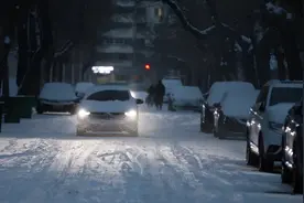 天津发布暴雪蓝色预警！高速封闭！出行注意视频封面