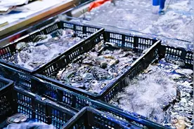 锦州通报碧海渔村饭店海鲜缺斤短两：电子秤称重可改，已立案视频封面