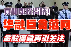 真相即将揭晓！华融巨贪落网，金融腐败再引关注视频封面