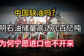 中国缺油吗？明明石油储量高达几百亿吨，为何宁愿进口也不开采视频封面