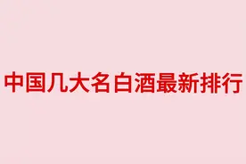 中国几大名白酒排行视频封面