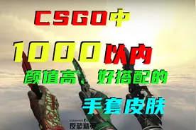 饰品回调？盘点1000以内最值得入手的手套皮肤