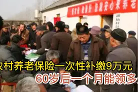 农村养老保险一次性补缴9万元，60岁后，一个月能领多少？视频封面