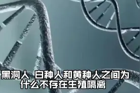黑洞人，白种人和黄种人之间为什么不存在生殖隔离？视频封面