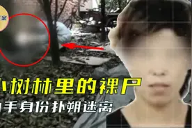 小树林内发现女性裸尸，体内残留多名男性DNA，凶手却只有一人？视频封面