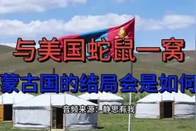 与美蛇鼠一窝，它的结局会好到哪里去？【音频-静思有我】视频封面