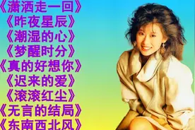 经典老歌<潇洒走一回><昨夜星辰><潮湿的心><真的好想你>迟来的爱视频封面