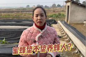为什么蜜蜂不蛰养蜂人呢？是因为小蜜蜂认主吗？视频封面