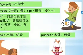 中考大纲单词 pupil 小学生视频封面