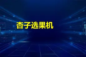 杏子选果机：让你轻松挑选出最甜美的杏子