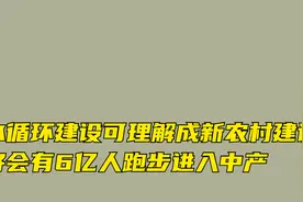 卢麒元：水循环建设可理解成新农村建设，会有6亿人跑步进入中产视频封面