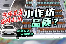 泡棉发霉！涂抹乱画！走线混乱! 小鹏G9电池包状况百出？视频封面