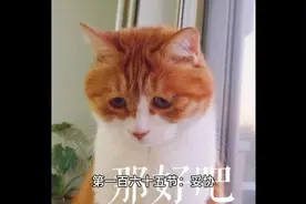 大爱仙尊传卷3-165-168