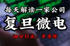 深度挖掘复旦微电背后的逻辑视频封面