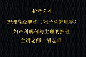 副主任护师 主任护师 妇产科护理学 解剖与生理的护理 上集视频封面