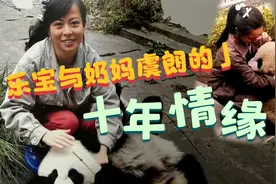 乐宝和奶妈虞朗的故事：园欣半岁时的虞奶妈，十年间的分分合合视频封面