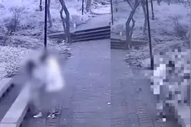 森林防火指挥中心大屏监控播放野外不雅画面 街办：此事比较敏感视频封面