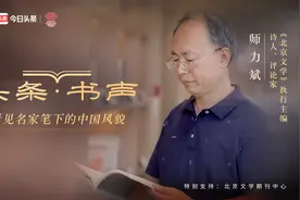 《北京文学》执行主编师力斌：经典文学是永恒的心灵日记视频封面