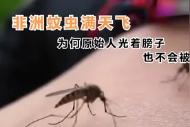 非洲蚊子漫天飞，为何当地人光着膀子却也没有蚊子咬呢？视频封面