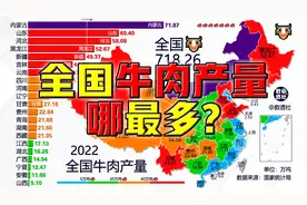 全国牛肉产量哪最多？@DOU+小助手视频封面