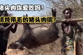 非洲部落吃野猪，带着毛一起煮的猪头，到底什么味？纪录片解说视频封面