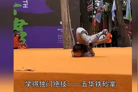 “最美女保镖”严月霞，靠真功夫入中南海，竟是一位少林俗家弟子视频封面
