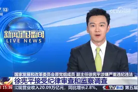 打虎！国家发改委原副主任徐宪平被查视频封面
