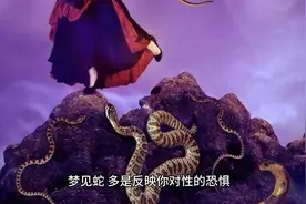 梦里看见蛇是什么预兆？ #梦境解析  #周公解梦视频封面