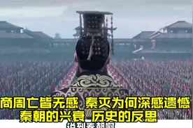 夏商周亡皆无感，秦灭为何深感遗憾？秦朝的兴衰，历史的反思。视频封面