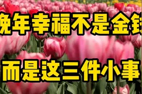 晚年的幸福揭秘：不只是金钱还有名利，而是这三件小事！视频封面