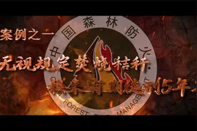 警示教育片《别让星星火 焚毁片片林》视频封面